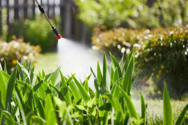 Tamper-Resistant Bait Stations for Rodents in San Lorenzo