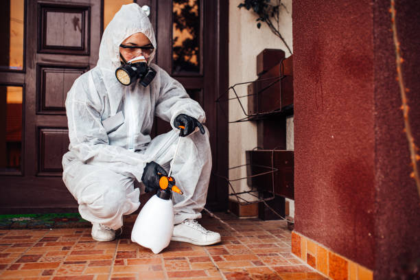 Attic and Crawl Space Rodent Treatment in San Lorenzo